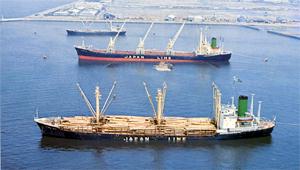 ジャパンチーク