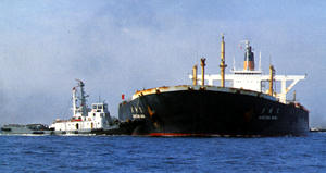 宗珠丸 Munetama Maru