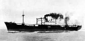 あまぞん丸 Amazon Maru