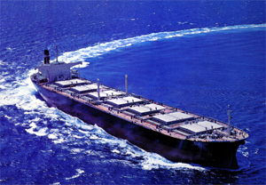 はんぷとん丸 Hampton Maru