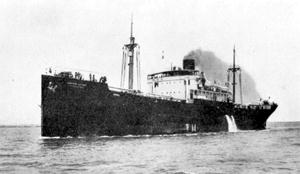 イースタン リィダア Eastern Leader