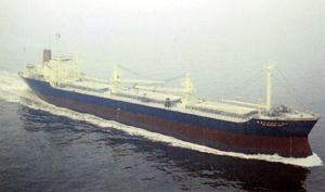 にゅうかれどにあ丸 New Caledonia Maru