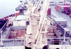 さくらめんと丸