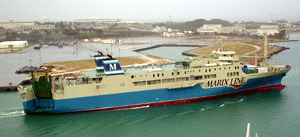 クイーンコーラル8